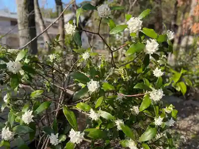 伊勢の国 四天王寺(三重県)