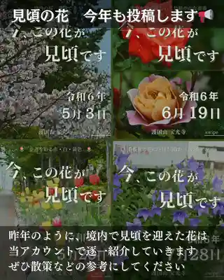 宝光寺(北海道)