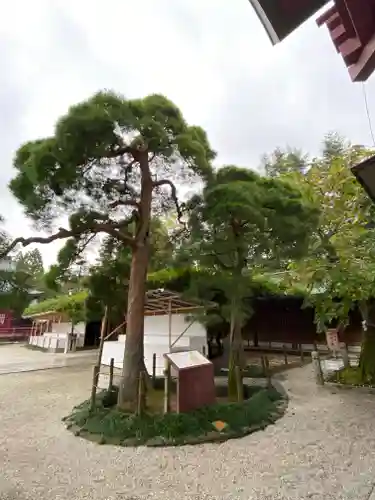 笠間稲荷神社の庭園