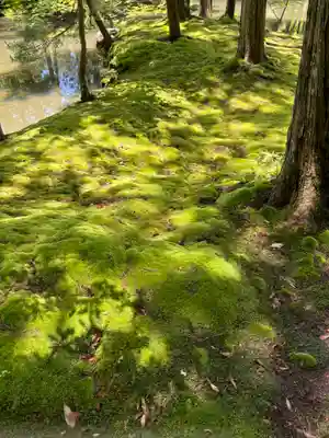 西芳寺(京都府)