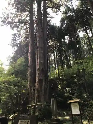 御岩神社の自然