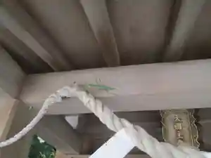 屋久島大社の動物(2022年07月27日(水) 16時32分26秒投稿)