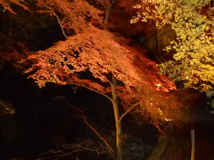 園城寺(三井寺)(滋賀県)