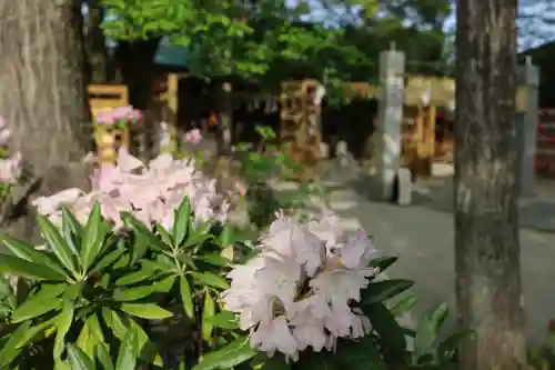 現人神社(福岡県)