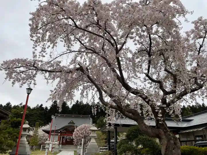北海道東照宮の自然