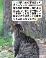 専念寺(大阪府)