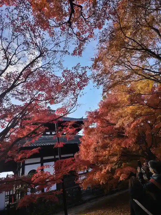 東福禅寺(東福寺)(京都府)