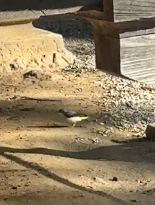 蚊里田八幡宮(長野県)