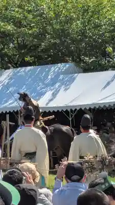 賀茂別雷神社(上賀茂神社)(京都府)