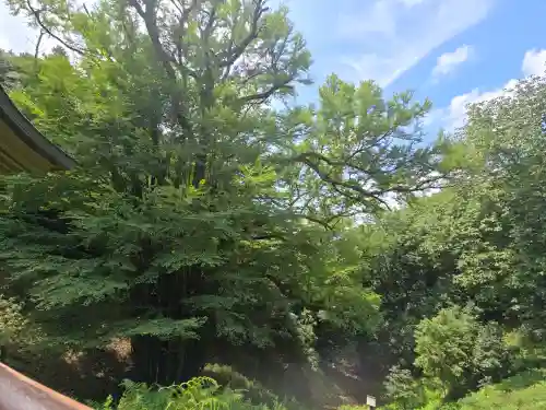 正法寺(滋賀県)