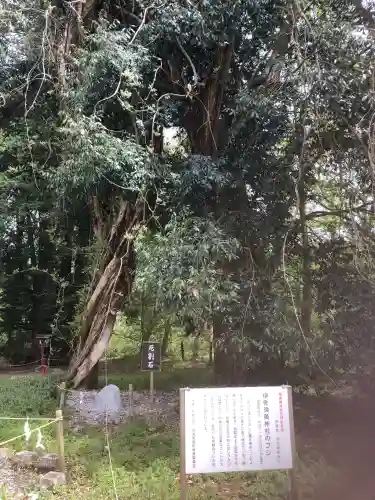 伊佐須美神社(福島県)