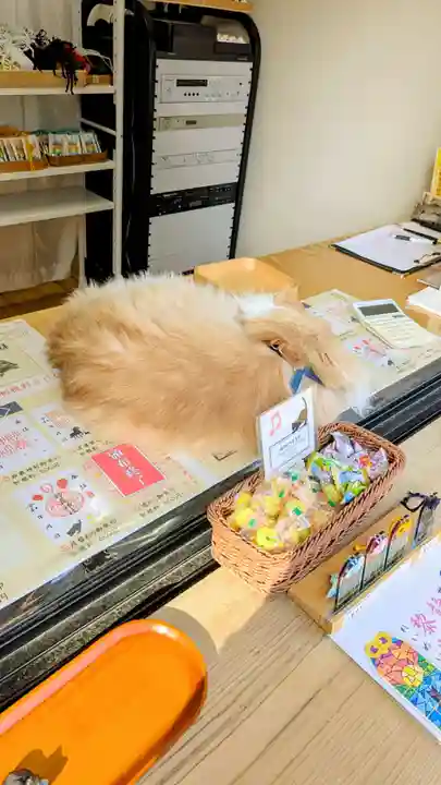 駒込妙義神社の動物