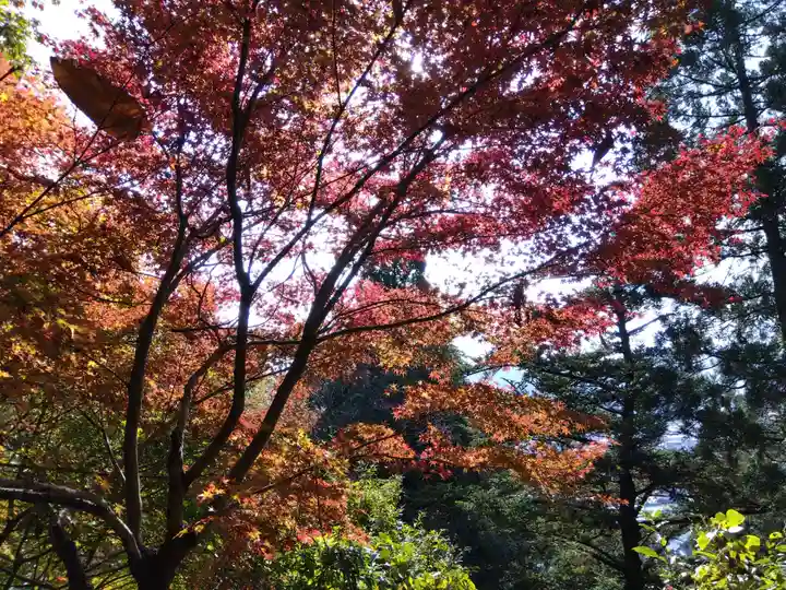 岡太神社(福井県)
