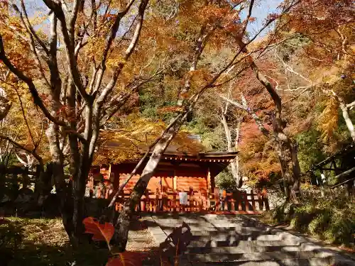 談山神社の自然