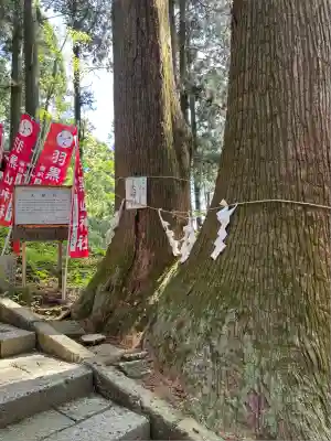 羽黒山神社(栃木県)