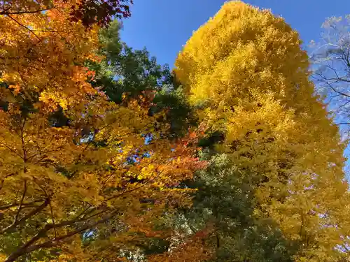 淨眞寺(東京都)