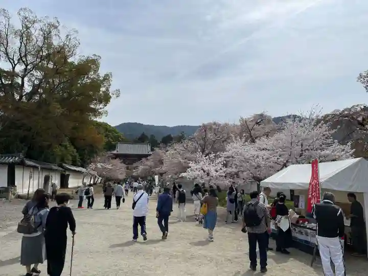 醍醐寺(京都府)