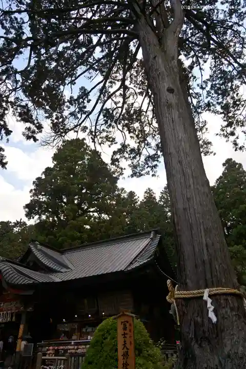北口本宮冨士浅間神社の自然