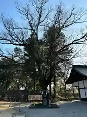 武田神社(山梨県)