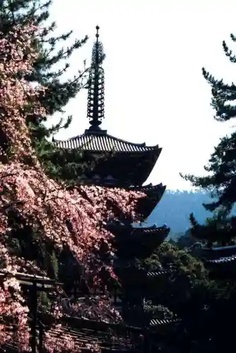 醍醐寺の塔