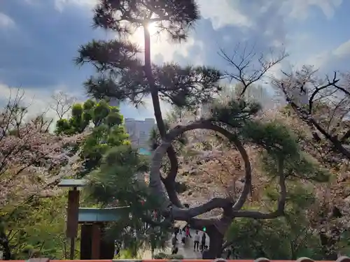 清水観音堂の自然