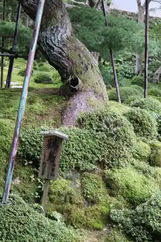 金剛寺(大阪府)