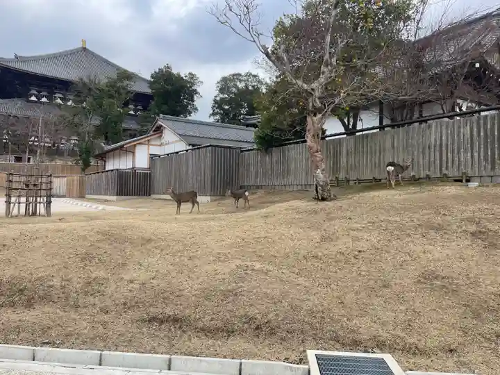 東大寺戒壇院戒壇堂(奈良県)