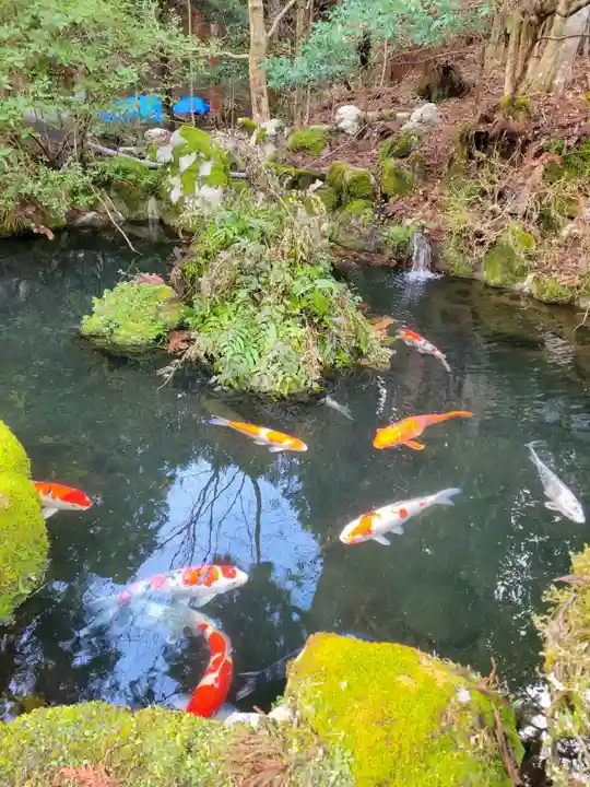 明通寺(福井県)