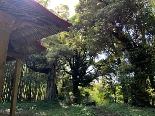 皇産霊神社のその他建物