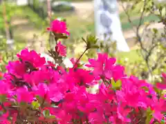 子檀嶺神社(長野県)