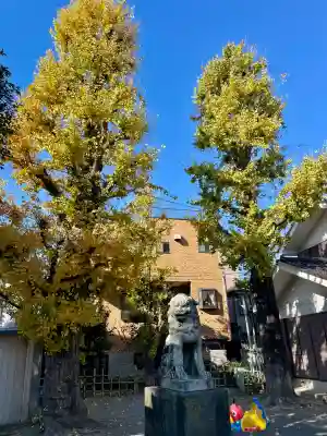 東貫森稲荷神社(東京都)