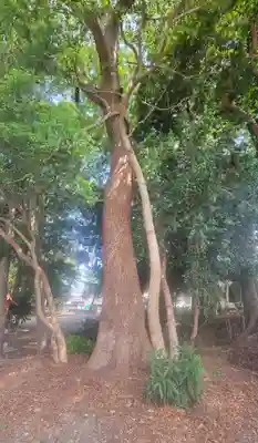 稲荷神社(愛媛県)