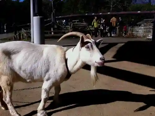 東本願寺本廟 牛久浄苑（牛久大仏）の動物