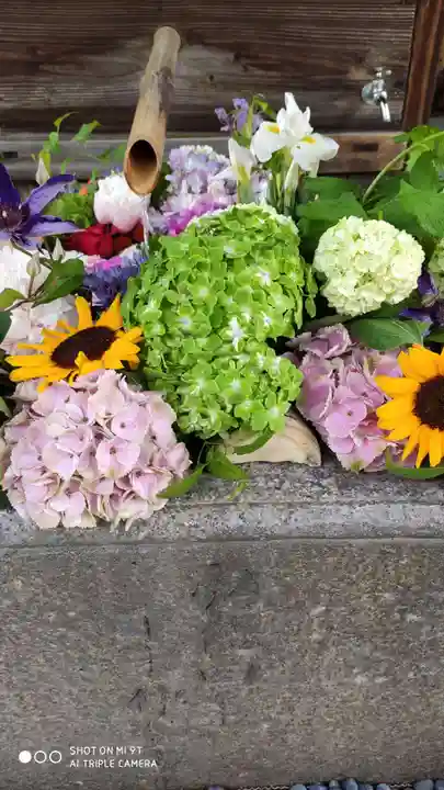 勝林寺(京都府)