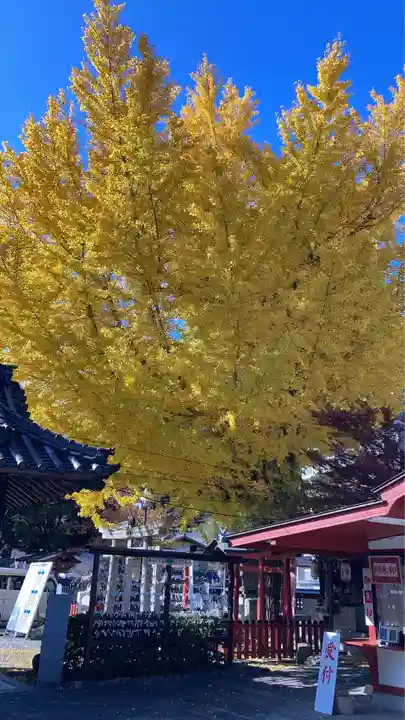 瀧宮神社(広島県)