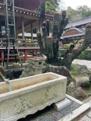 本漸寺(千葉県)