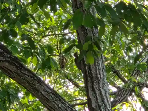 玉井宮東照宮(岡山県)