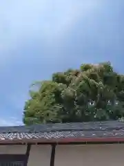 岡山戎神社の建物その他