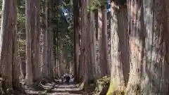 戸隠神社奥社(長野県)