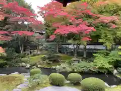 御寺 泉涌寺(京都府)