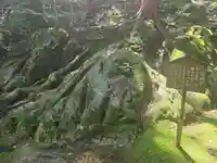 八大龍王社(滋賀県)