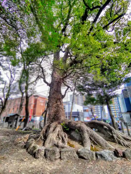 六所社(金城町)の自然
