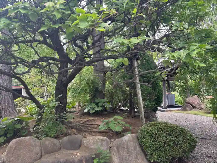 観乗寺(東京都)