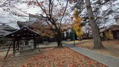 西宗寺(京都府)