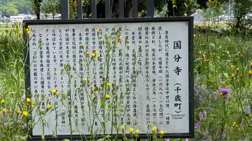 國分寺（国分寺）(京都府)