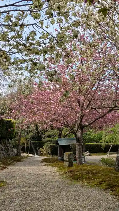 圓光寺(京都府)