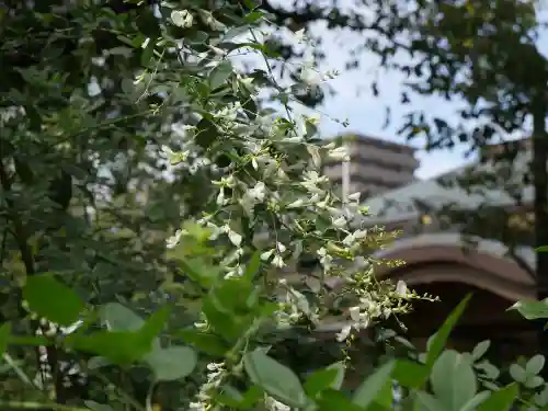 龍眼寺（萩寺）の自然