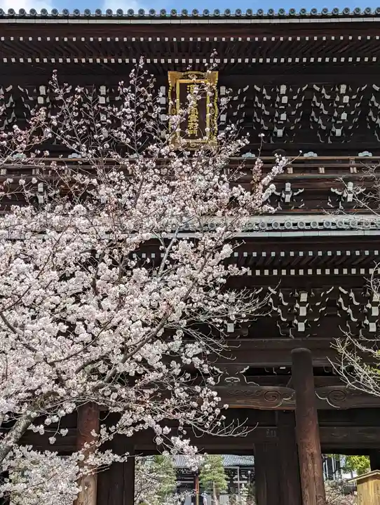 くろ谷 金戒光明寺(京都府)