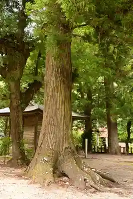 三島神社(愛媛県)