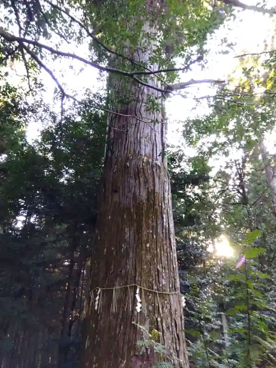 江文神社(京都府)